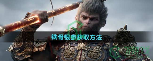 黑神话悟空铁骨银参怎么获得-铁骨银参获取方法