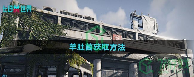 七日世界羊肚菌如何获取-羊肚菌获取方法