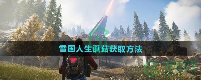 七日世界雪国人生蘑菇怎么获得-雪国人生蘑菇获取方法