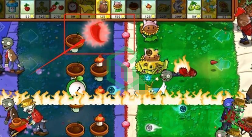 植物大战僵尸杂交版v2.5版本新增植物有哪些-pvz杂交版2.5版本新增植物