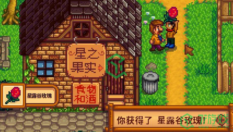 星露谷物语海盗的妻子任务怎么做-海盗的妻子任务攻略