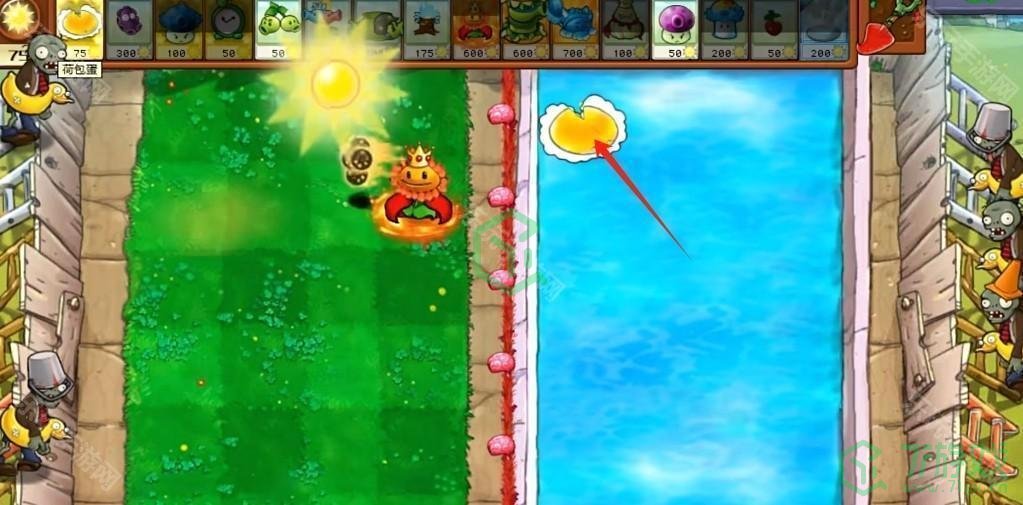 植物大战僵尸杂交版v2.5版本新增植物有哪些-pvz杂交版2.5版本新增植物
