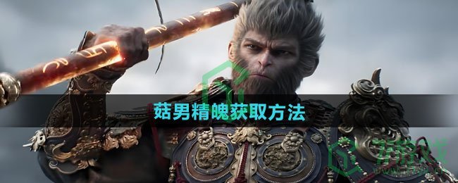 黑神话悟空菇男精魄怎么获得-菇男精魄获取方法