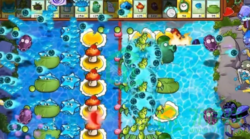 植物大战僵尸杂交版v2.5版本新增植物有哪些-pvz杂交版2.5版本新增植物