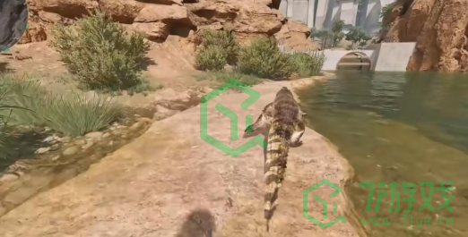 三角洲行动鳄鱼在哪刷新-鳄鱼刷新点位置介绍