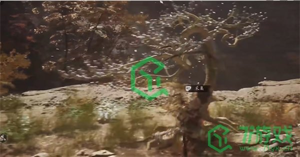 黑神话悟空树珍珠种子怎么获得-树珍珠种子获取方法