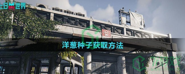七日世界洋葱种子怎么获得-洋葱种子获取方法
