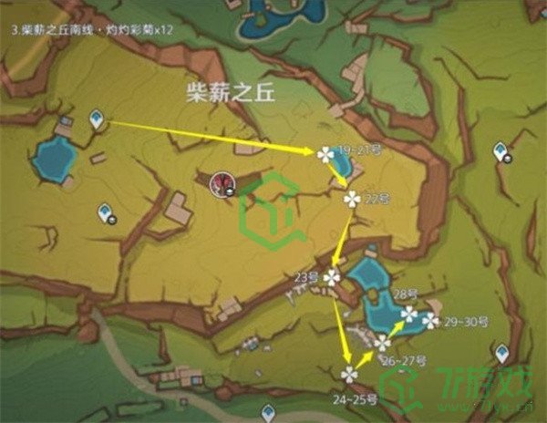 原神5.1灼灼彩菊在哪采集-5.1灼灼彩菊采集路线图介绍