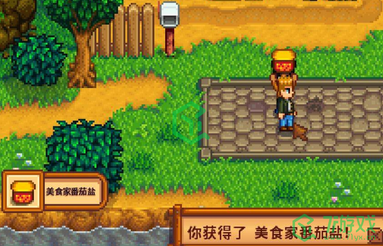 星露谷物语海盗的妻子任务怎么做-海盗的妻子任务攻略