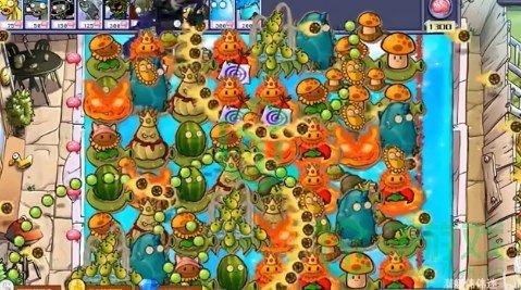 植物大战僵尸杂交版V2.4版本更新内容有哪些-pvz杂交版V2.4版本更新内容介绍