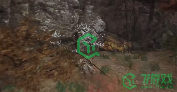 黑神话悟空树珍珠种子怎么获得-树珍珠种子获取方法