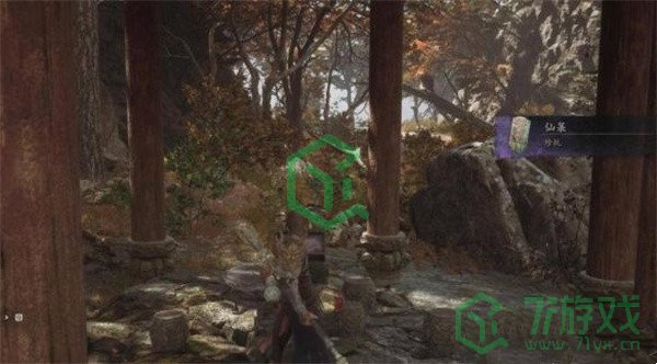 黑神话悟空珍玩仙箓怎么获得-珍玩仙箓获取方法