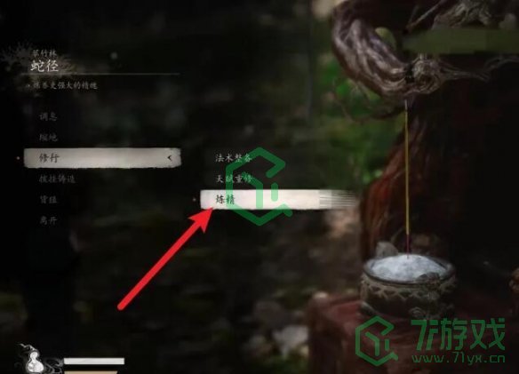 黑神话悟空精魄升级位置在哪-精魄升级位置介绍