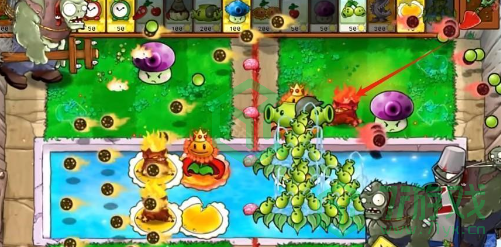 植物大战僵尸杂交版v2.5版本新增植物有哪些-pvz杂交版2.5版本新增植物