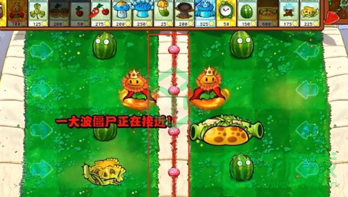植物大战僵尸2.5版本新益智模式两面夹击怎么玩-pvz杂交版2.5版本两面夹击玩法
