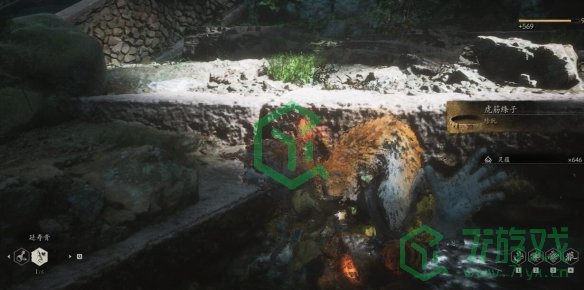 黑神话悟空珍品虎筋绦子如何获得-珍品虎筋绦子获取方法