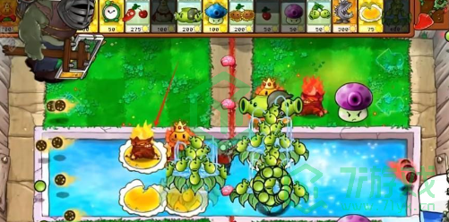 植物大战僵尸杂交版v2.5版本新增植物有哪些-pvz杂交版2.5版本新增植物
