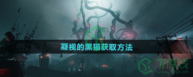 七日世界凝视的黑猫怎么获得-凝视的黑猫获取方法