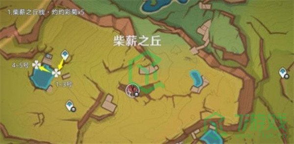原神5.1灼灼彩菊在哪采集-5.1灼灼彩菊采集路线图介绍