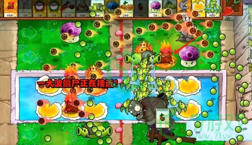 植物大战僵尸杂交版v2.5版本新增植物有哪些-pvz杂交版2.5版本新增植物