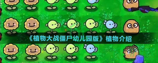 植物大战僵尸幼儿园版有哪些植物-pvz幼儿园版游戏植物介绍