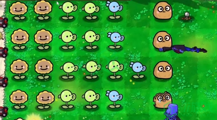 植物大战僵尸幼儿园版游戏作者是谁-pvz幼儿园版游戏作者