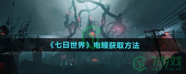 七日世界电鳗如何获取-电鳗获取方法