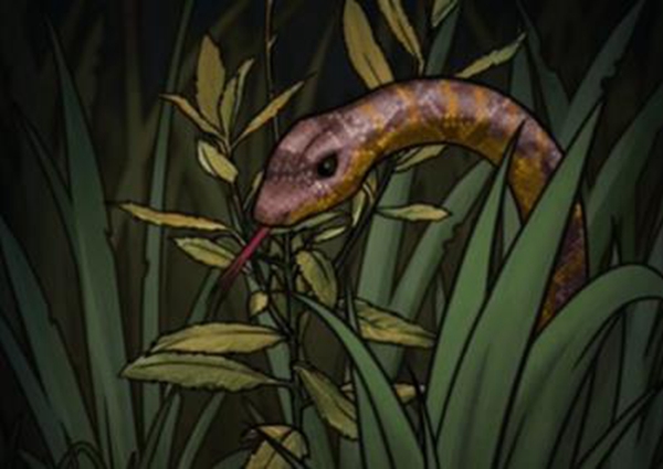 山村老屋4之深林魅影第二章如何通关-深林魅影第二章通关秘籍