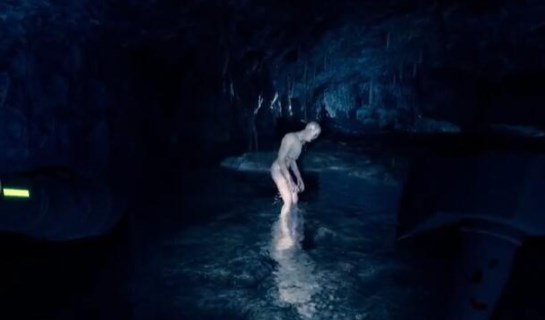 森林之子十字架在哪儿?十字架位置详细介绍 森林之子十字架在哪儿?十字架位置详细介绍