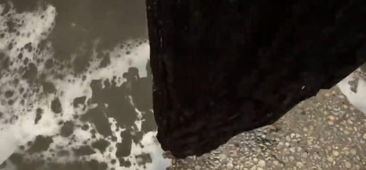 森林之子绳索枪如何运木头-绳索枪运输木头方式