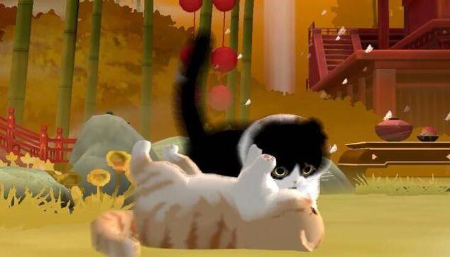 忘川风华录如何进化名士猫-进化名士猫方法是什么