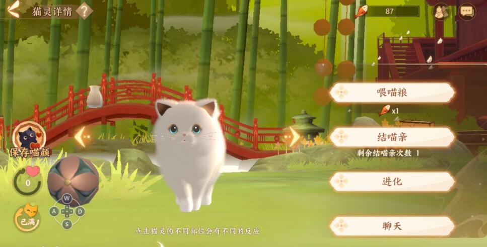 忘川风华录如何进化名士猫-进化名士猫方法是什么