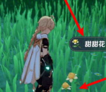 原神砂糖在哪儿？原神中找到砂糖的攻略