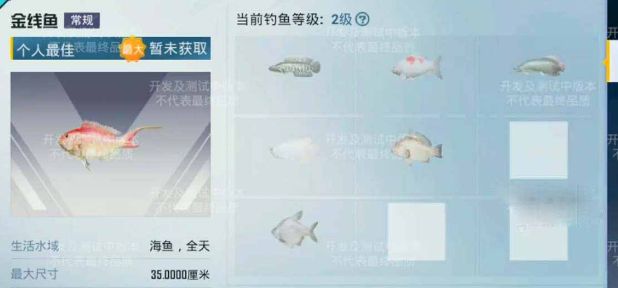 和平精英绿洲全球垂钓级别如何升级？绿洲全球垂钓级别升级方法