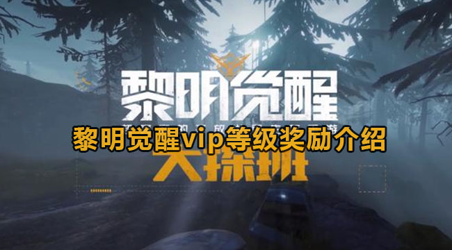 黎明觉醒vip级别怎么划分-黎明觉醒vip级别奖励介绍