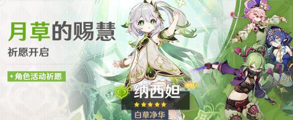 原神36妮露和纳西妲抽哪家好-36妮露和纳西妲抽取使用价值有哪些？