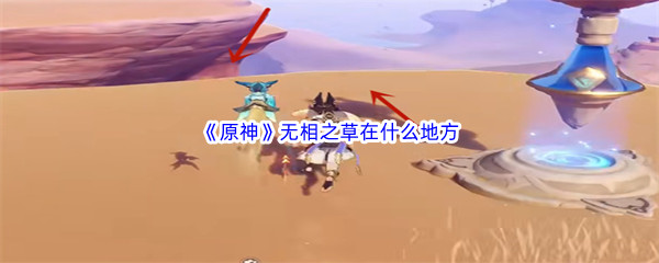 原神无相之草位置介绍-原神无相之草在哪些地方