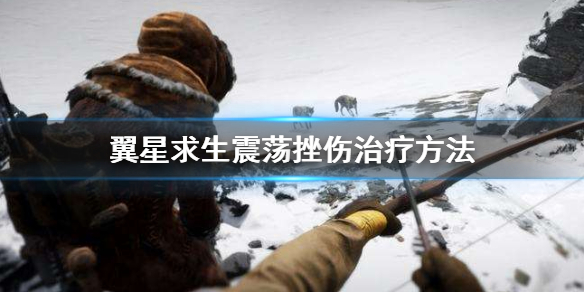 翼星求生震荡挫伤如何办_治疗方法分享