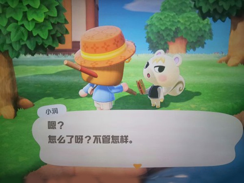 集合啦动物森友会如何邀请小动物_Amiibo动物入住小岛教程