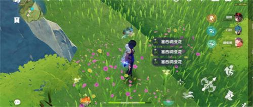 原神获得塞西莉亚花的方法有哪些-原神获得塞西莉亚花的步骤介绍