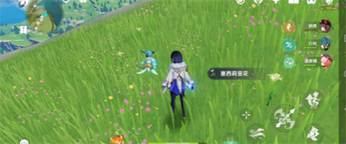 原神获得塞西莉亚花的方法有哪些-原神获得塞西莉亚花的步骤介绍