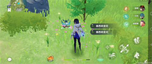 原神获得塞西莉亚花的方法有哪些-原神获得塞西莉亚花的步骤介绍