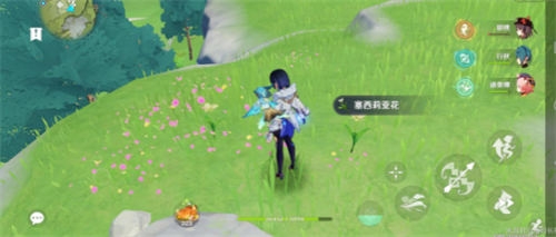 原神获得塞西莉亚花的方法有哪些-原神获得塞西莉亚花的步骤介绍