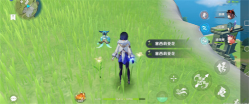 原神获得塞西莉亚花的方法有哪些-原神获得塞西莉亚花的步骤介绍