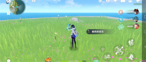 原神获得塞西莉亚花的方法有哪些-原神获得塞西莉亚花的步骤介绍
