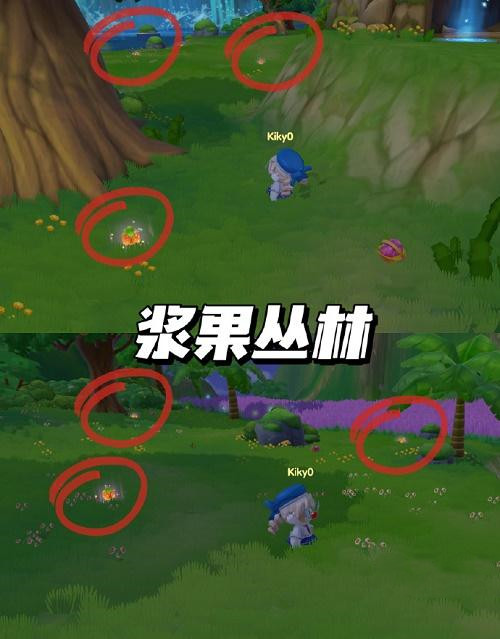 摩尔庄园派对星花在哪些地方-摩尔庄园派对星花位置介绍