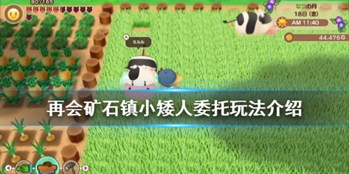 牧场物语重聚矿石镇小矮人如何工作_委托玩法分享