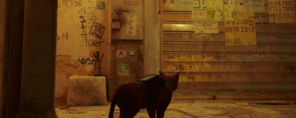 迷失stray躲猫猫成就如何做_完成方法分享
