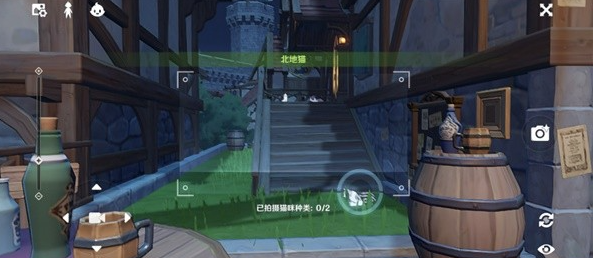 原神虹色巡回第二阶段如何过-各动物拍摄地点