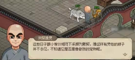 大侠立志传释法寺灵猿领养指南